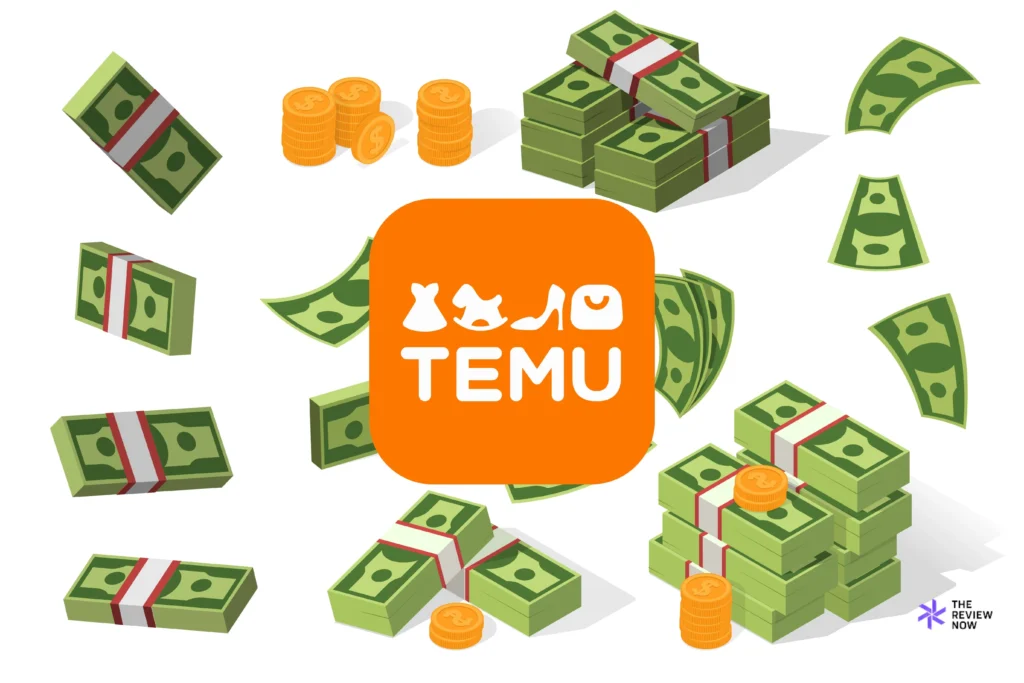 How To Make Money With Temu