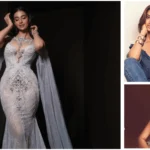 Meenakshi Chaudhary Net Worth