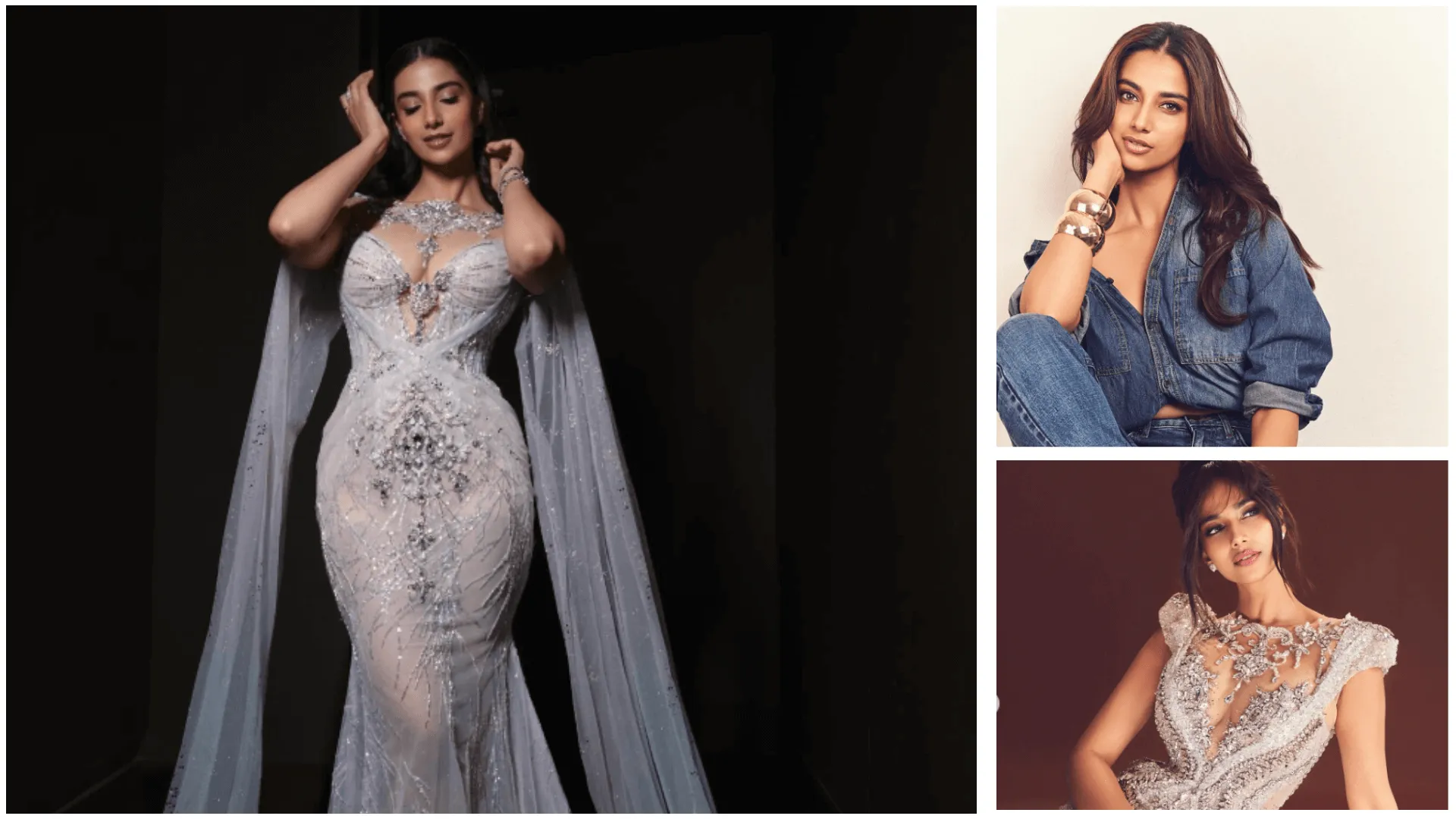 Meenakshi Chaudhary Net Worth