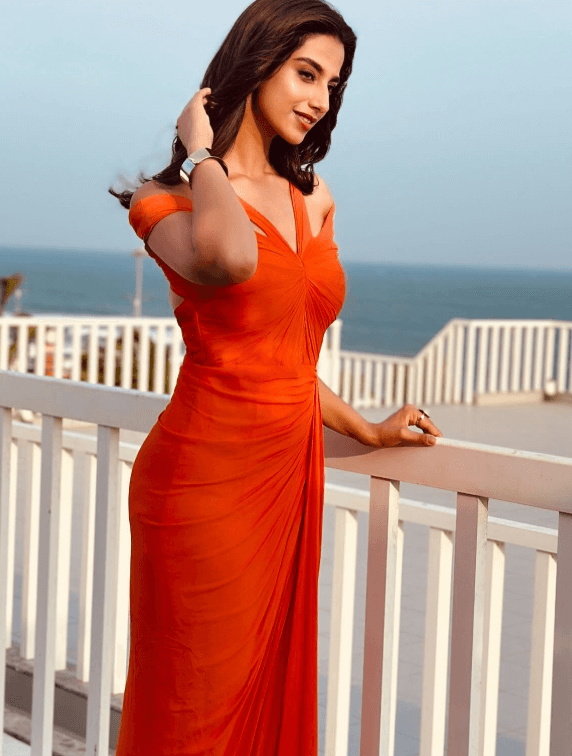 Meenakshi Chaudhary Pageantry Career